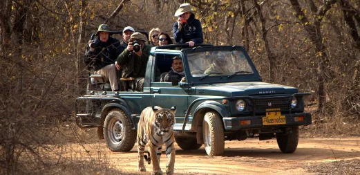 ranthambore jeep safari