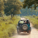 ranthambore jeep safari