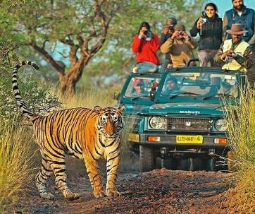 ranthambore jeep safari