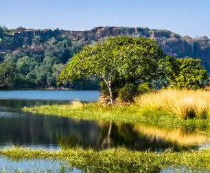 ranthambore blog