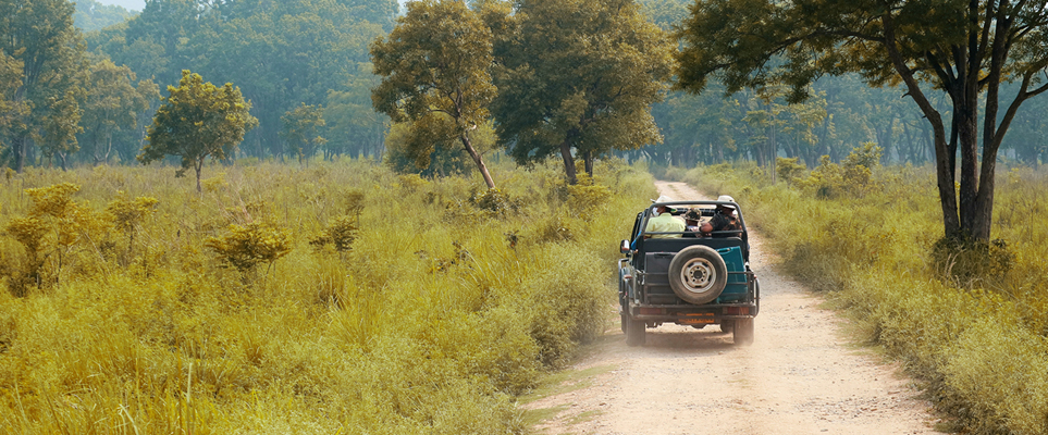ranthambore safari