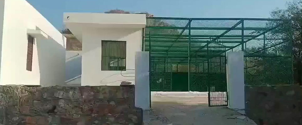 tiger hospital in rajasthan
