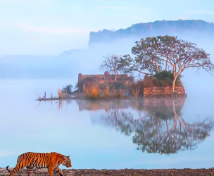 ranthambore tour