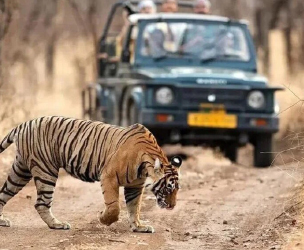 ranthambore tour